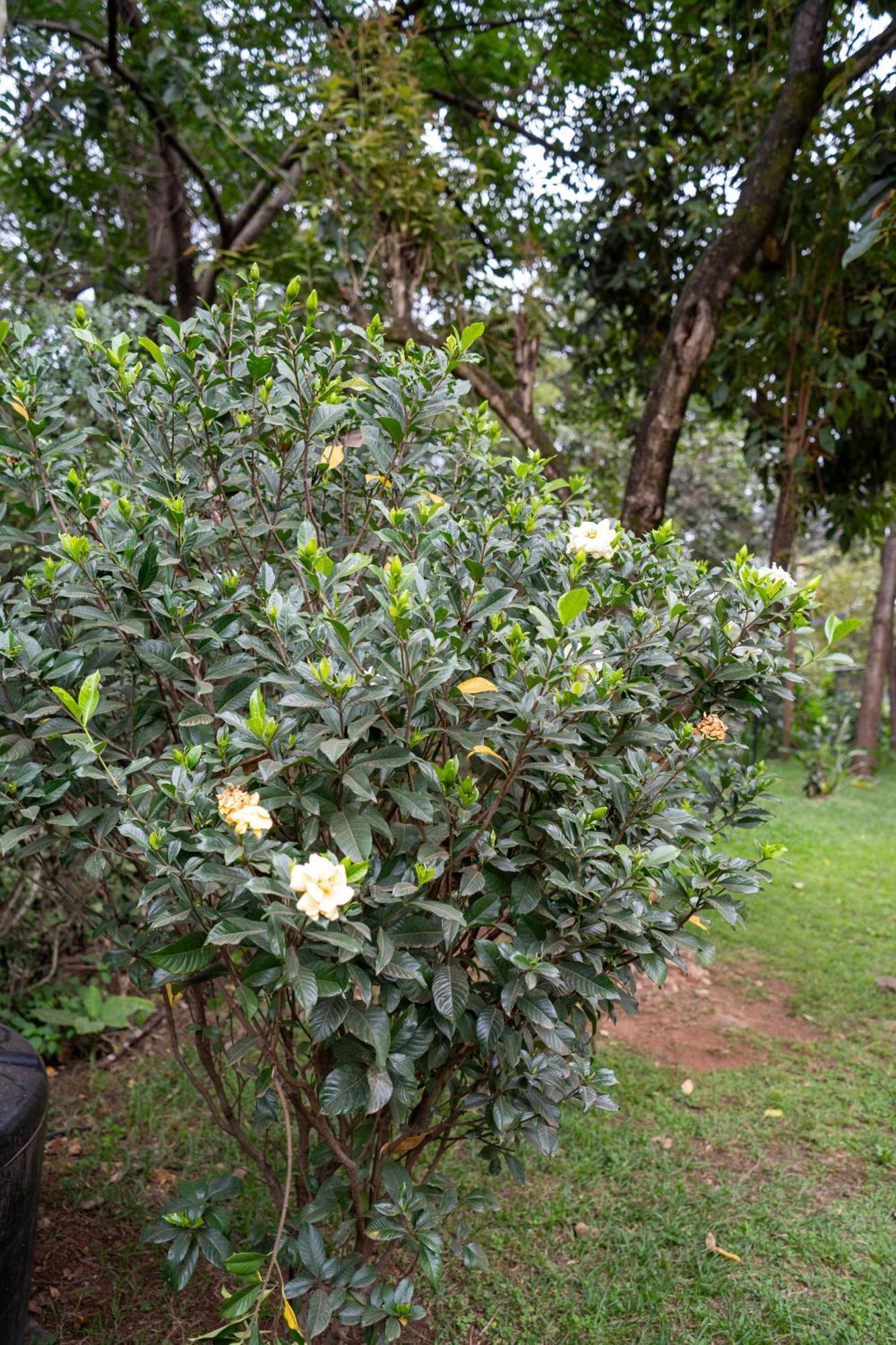 East Of Eden Hotel Nairobi Bagian luar foto